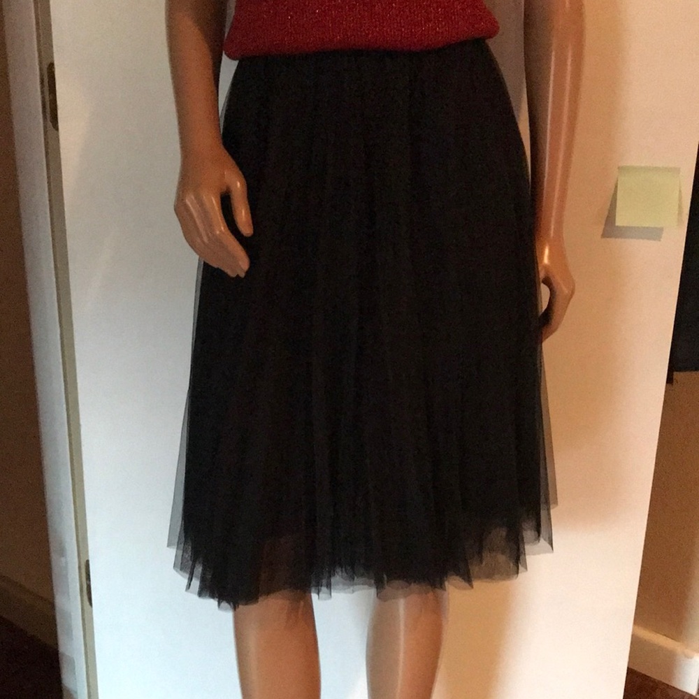 Tulle skirt with lining.  Size XS. Stretchy waistband.